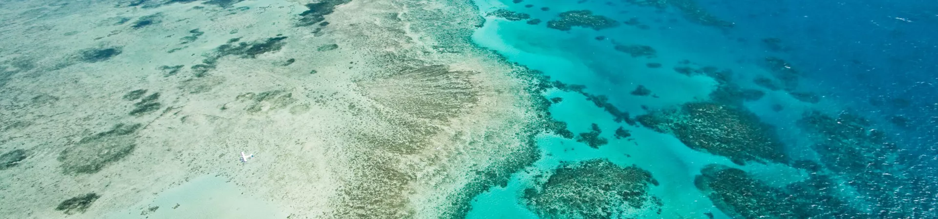 Aerial view of a green island on the Great Barrier Reef in Australia