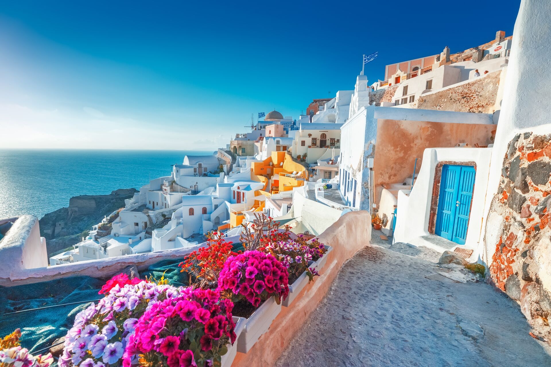 Picturesq View Of Traditional Cycladic Santorini Houses On Small Street With Flowers In Foreground Location Oia Village Santorini. Greece 