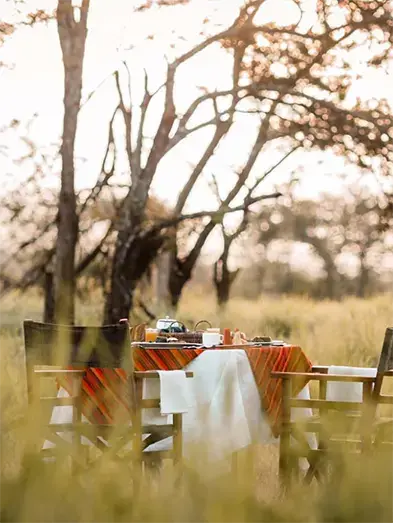 wellworth-bush-breakfast-tarangirie-national-park-1.webp