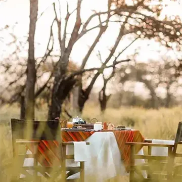 wellworth-bush-breakfast-tarangirie-national-park-1.webp