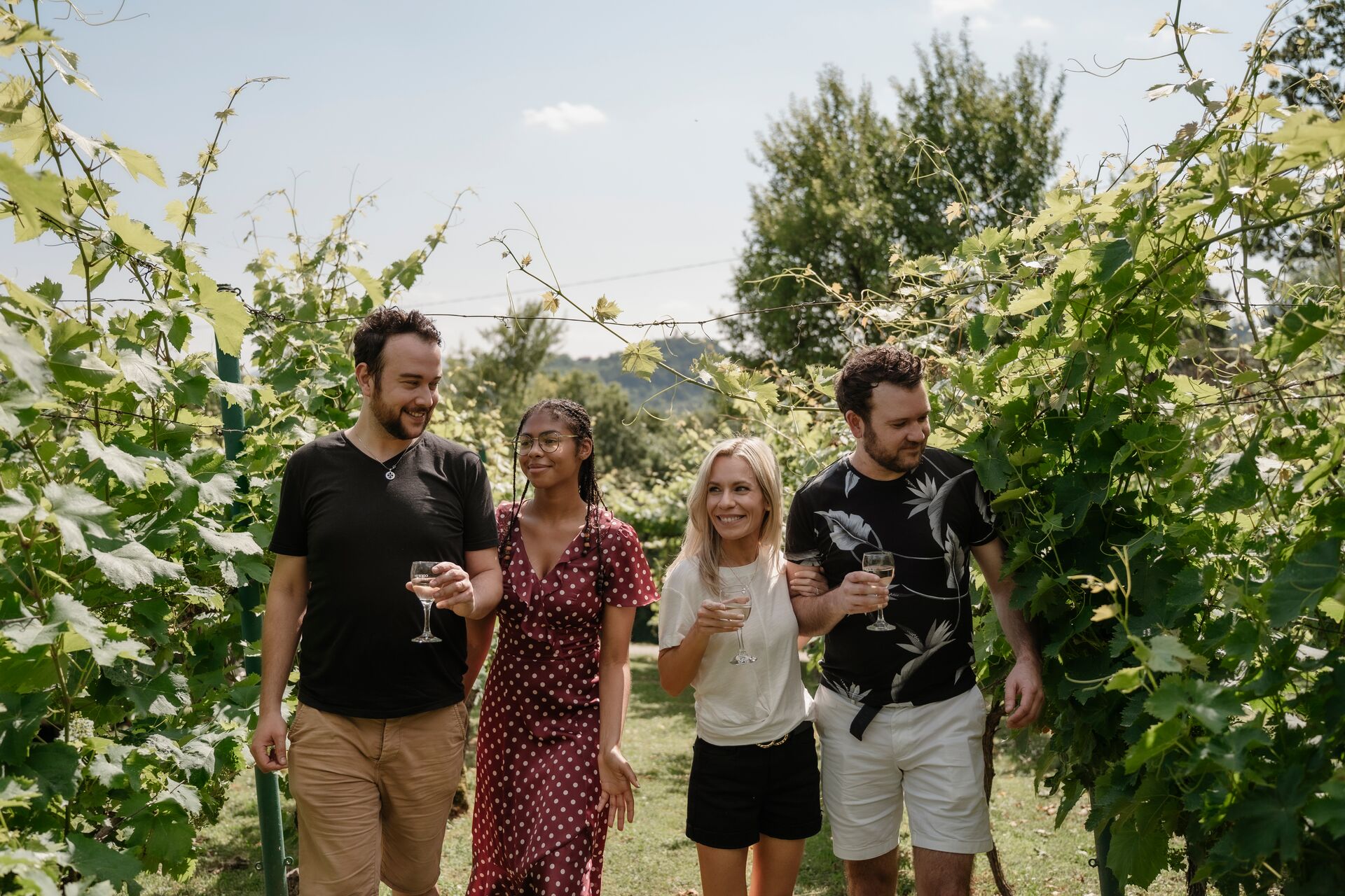 Four guests carrying wine glasses explore a vineyard