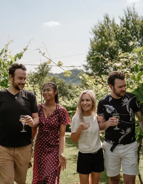 Four guests carrying wine glasses explore a vineyard