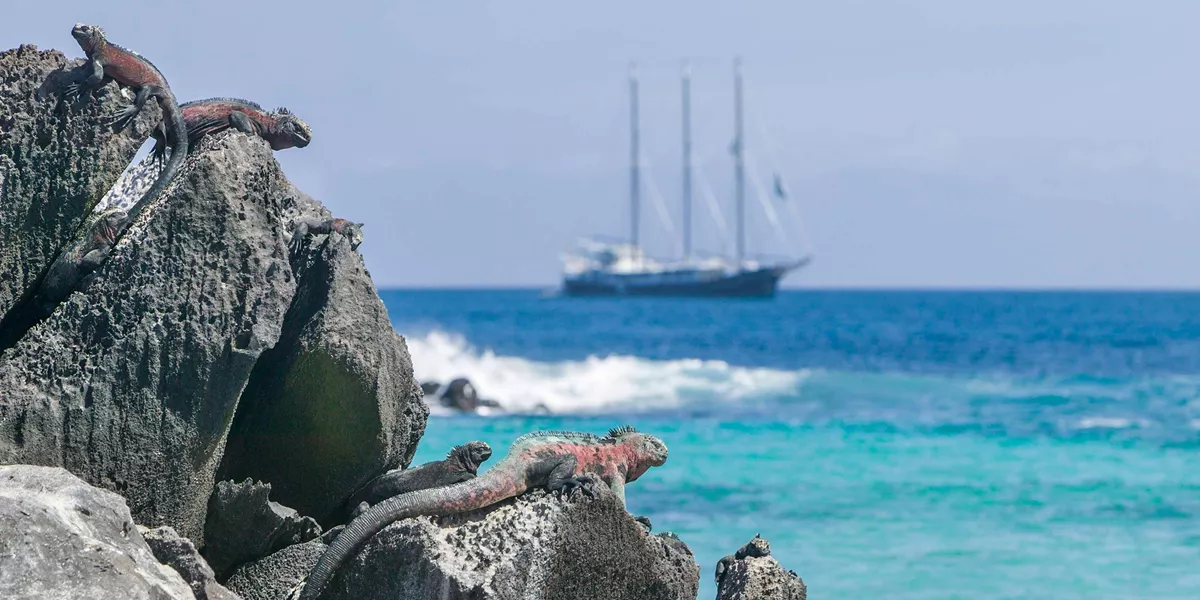 South America Revealed with Galapagos Legend North and Central Cruise Guided Tour