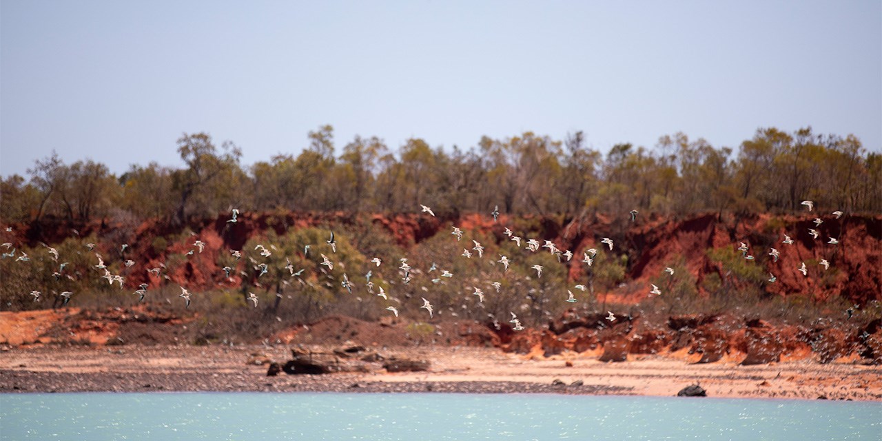 cable-beach-wdbp-day-9.jpg