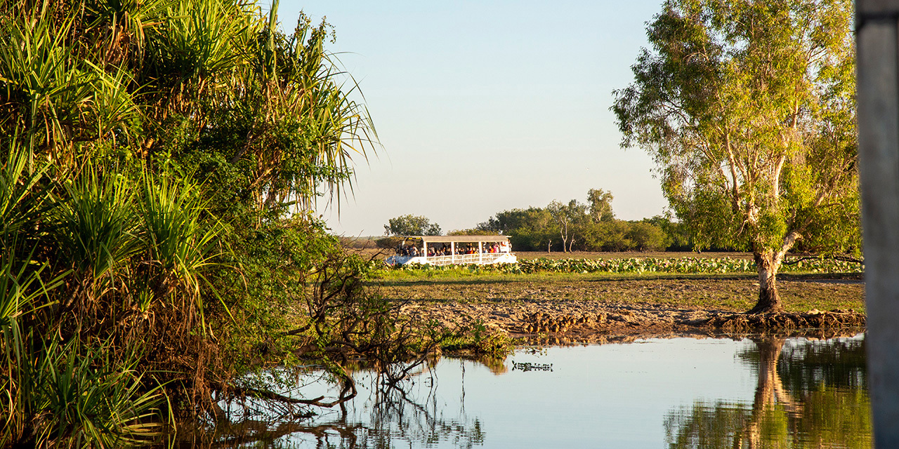 yellow-water-billabong-cruise-kakadu-national-park-credit-tourism-aus-day-8.jpg