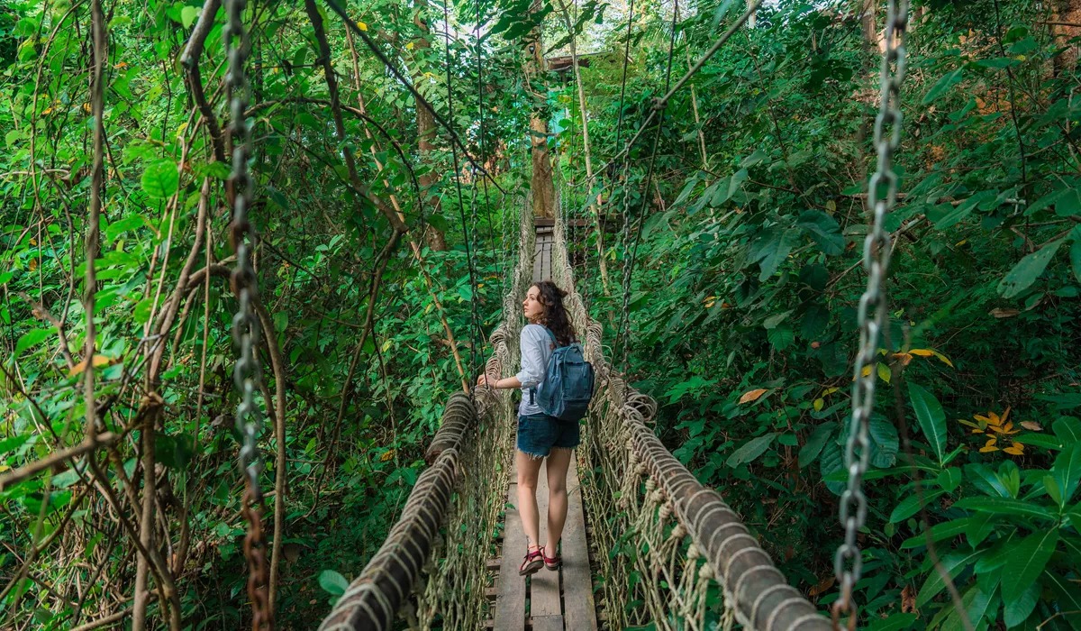 Woman walking through the suspension bridge in the forest