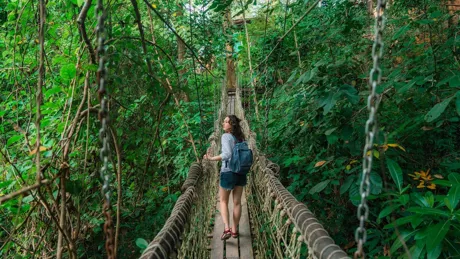 Woman walking through the suspension bridge in the forest