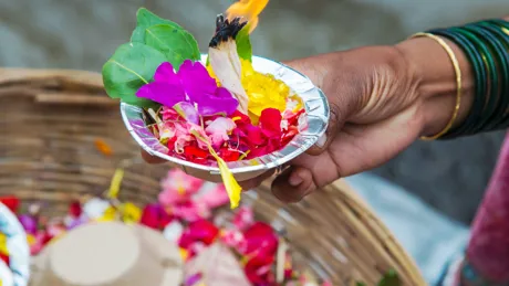 Hand holding a cup with flower petals, Kumbh Mela India