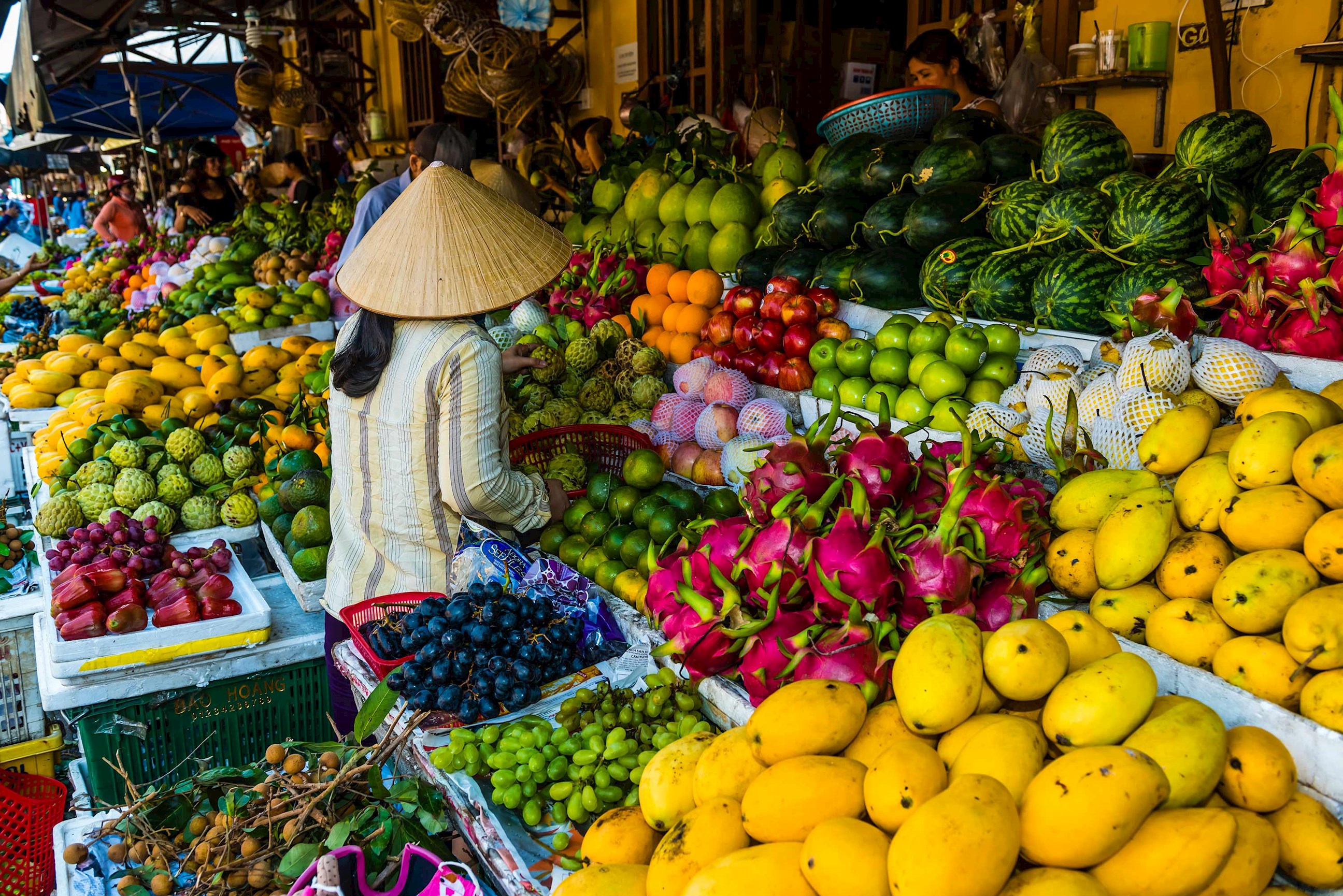 Visit the colourful market of Hoi An, Vietnam