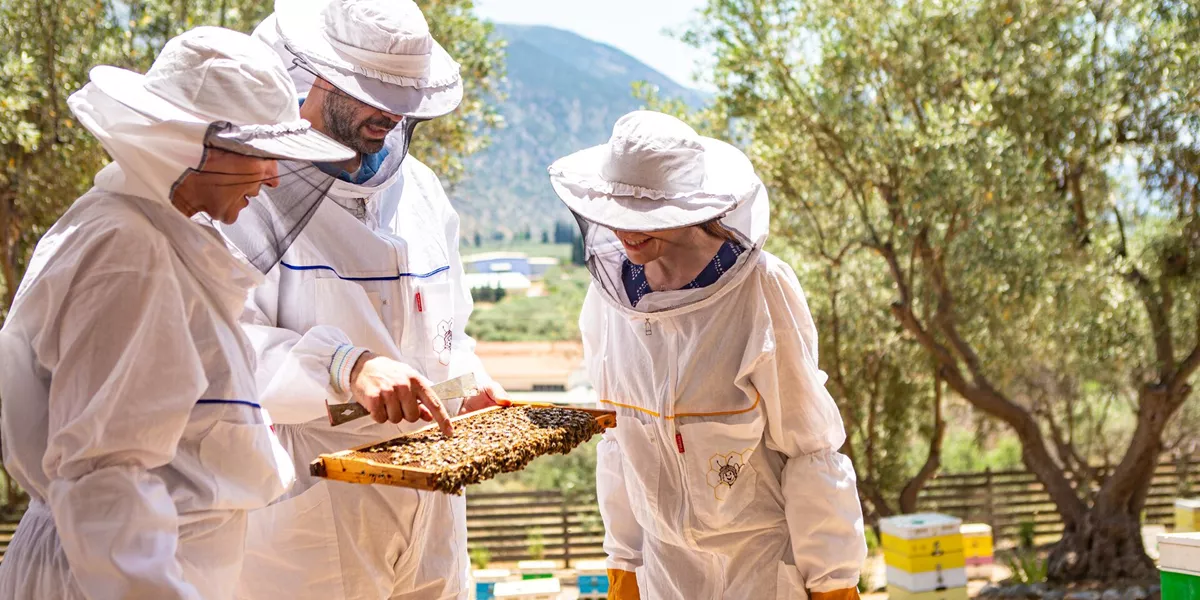 Trafalgar guests at a MAKE TRAVEL MATTER® Experience beekeeping