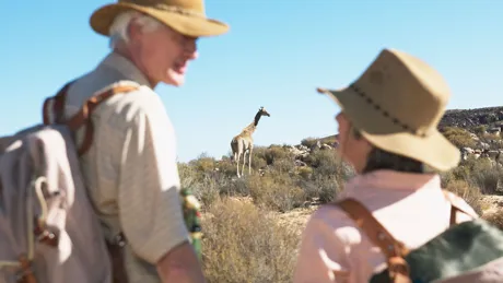 Couple on Safari watching giraffe