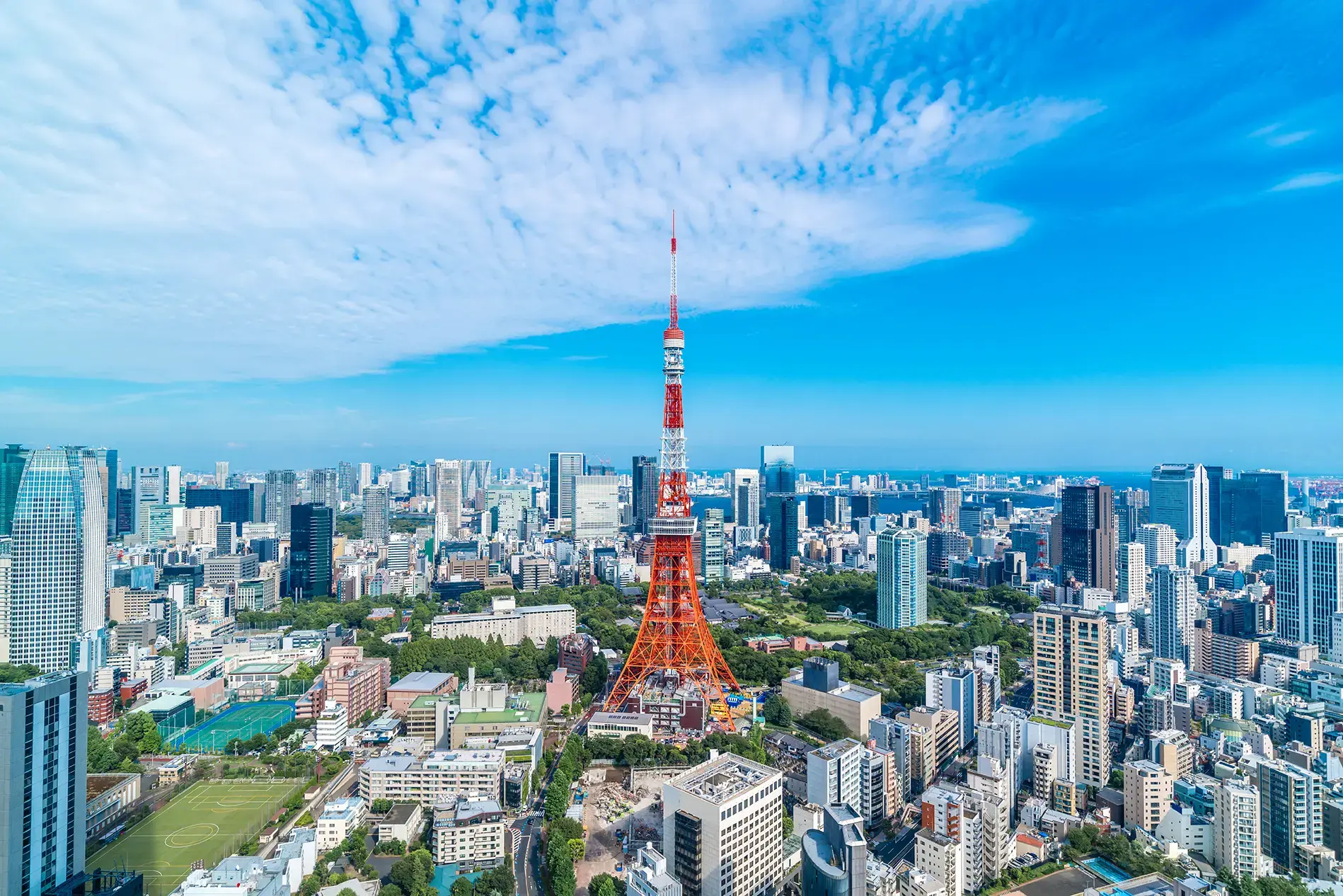 view-of-tokyo-japan-gettyimages-2189109109.webp
