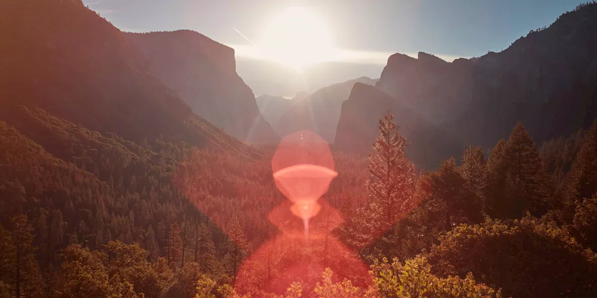 Californias Great National Parks Guided Tour