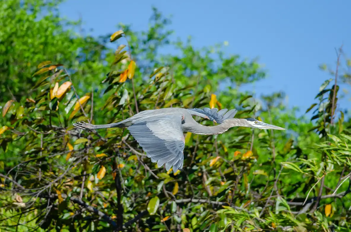 visit-guanacasta-costa-rica-gettyimages-2211736912.webp