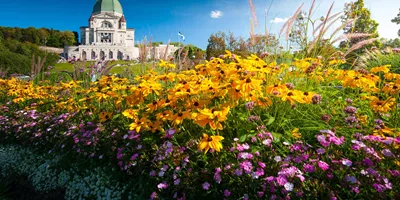 Best of Eastern Canada Guided Tour