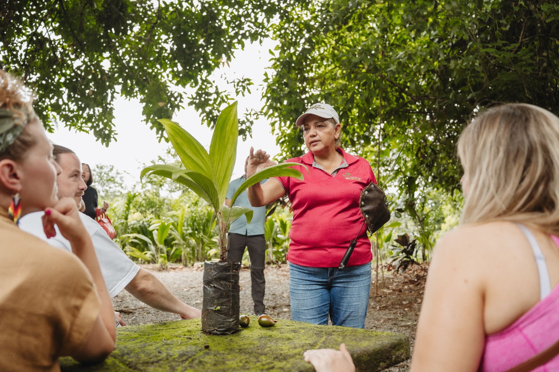 Dona Maria Hosting Heart Of Palm