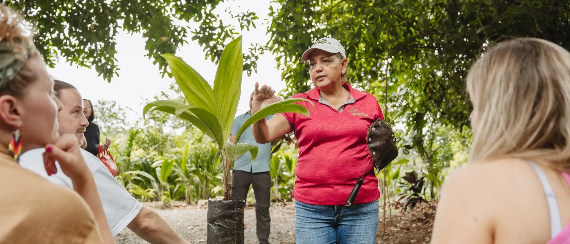 Dona Maria Hosting Heart Of Palm