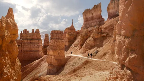 People walking in the Navajo Loop Trail in Bryce Canyon, Utah, USA