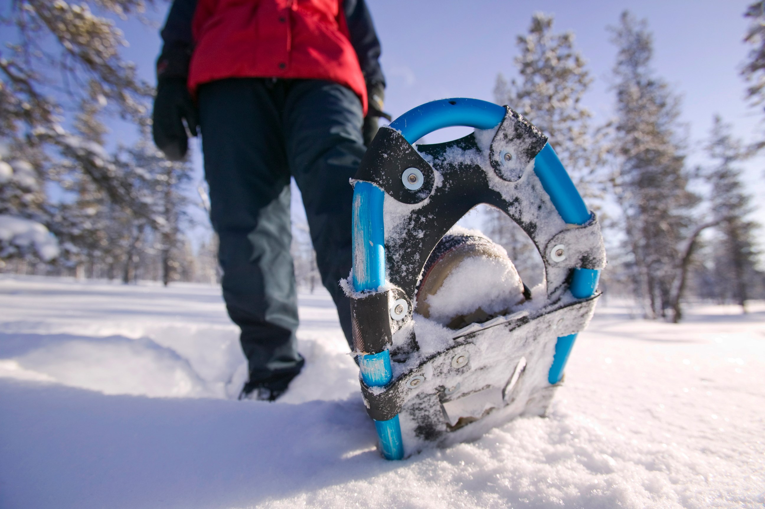 enjoy-arctic-showshoe-adventure-lapland-saariselka-finland.jpg