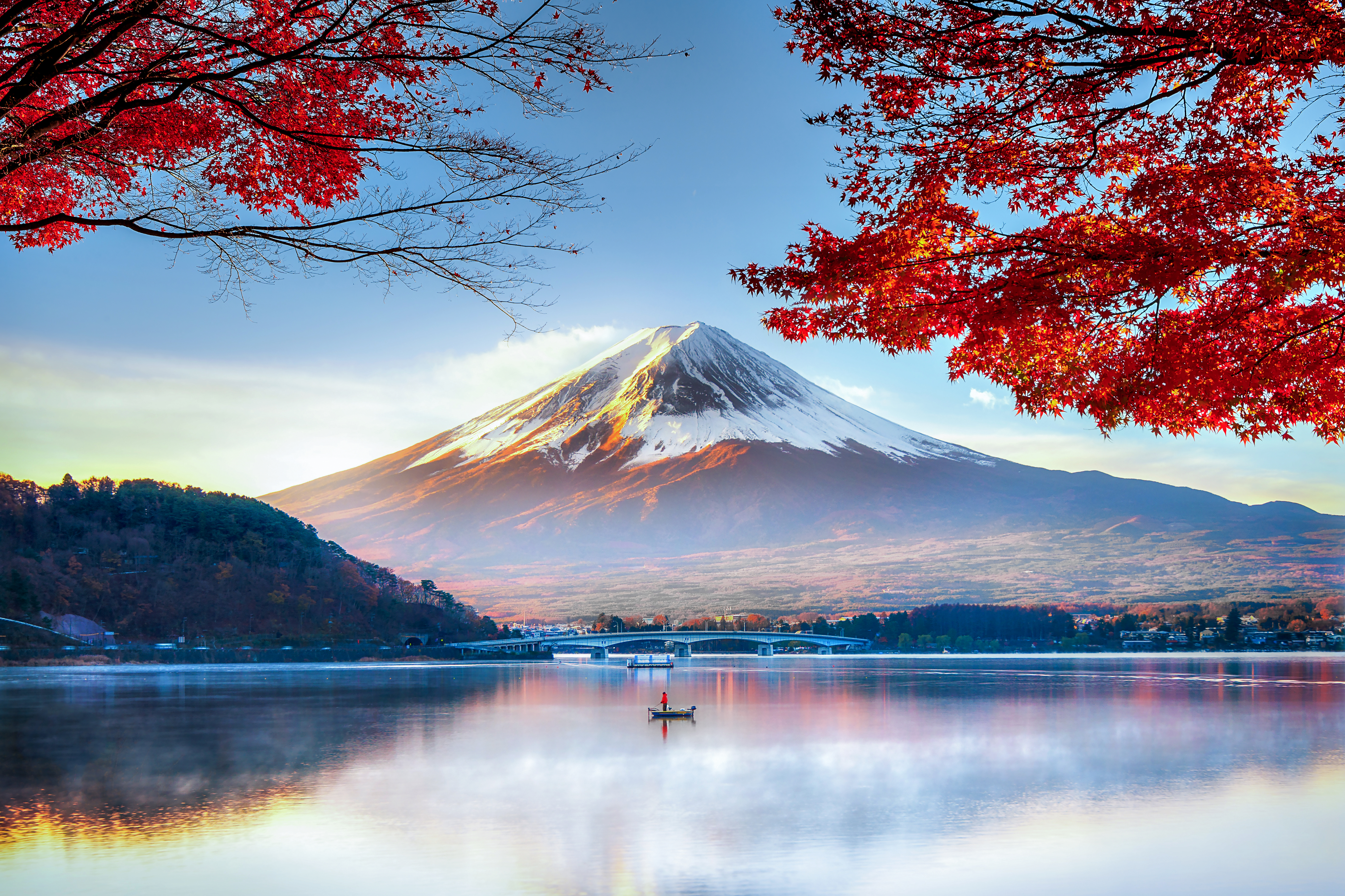 Fuji Mountain In Autumn 822273028