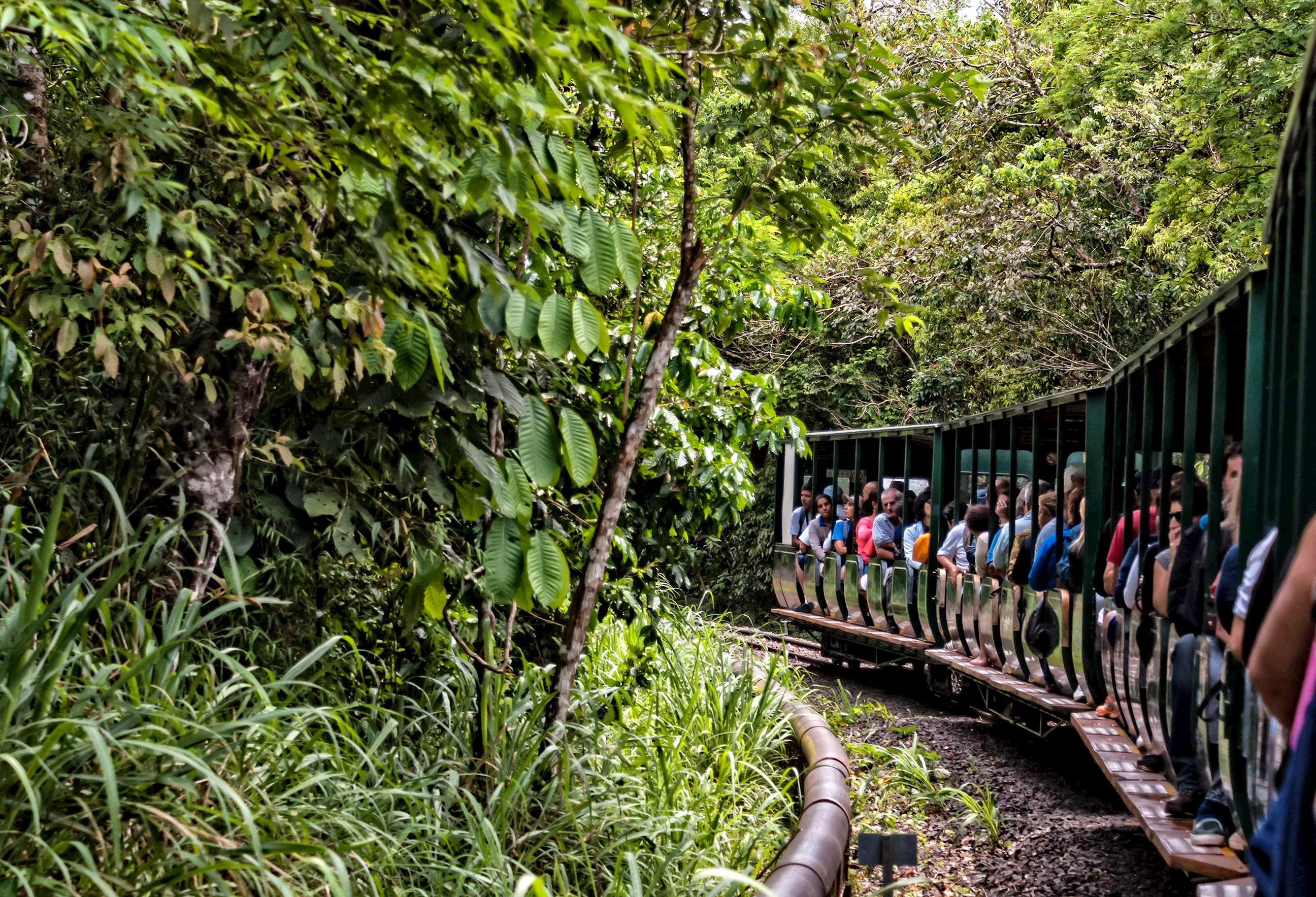 train-iguazu-national-park-iguassu-falls-argentina.jpg