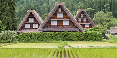 Splendors of Japan, celebrate The Takayama Festival Guided Tour