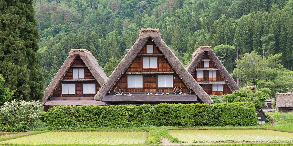 Splendors of Japan, celebrate The Takayama Festival Guided Tour