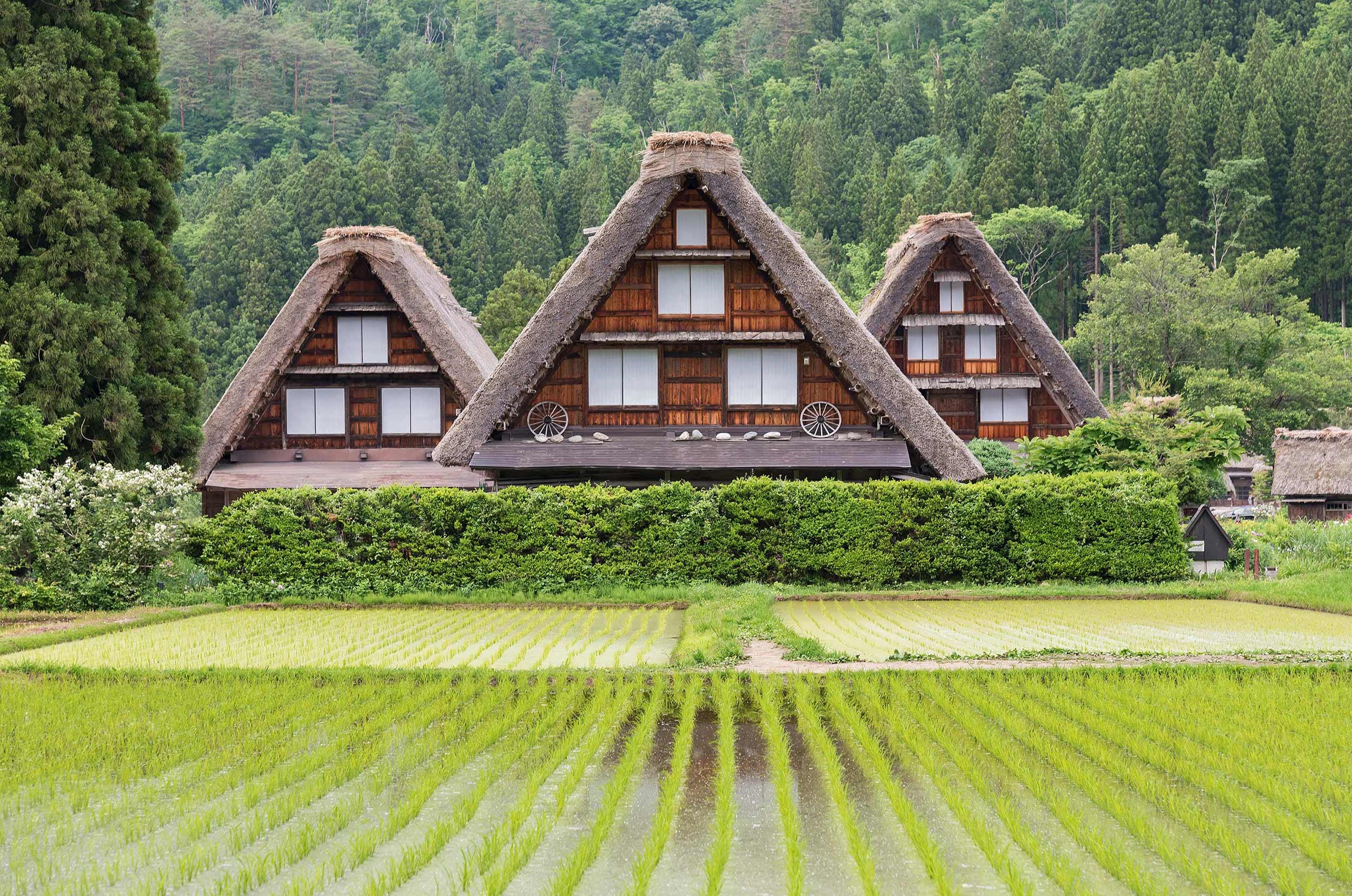 Splendors of Japan, celebrate The Takayama Festival Guided Tour