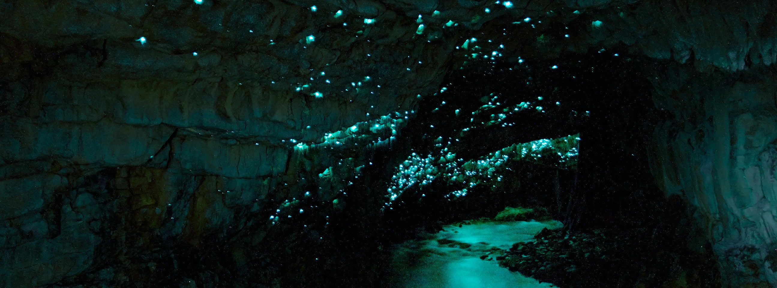 labc-kia-ora-new-zealand-waitomo-caves-gt.jpg