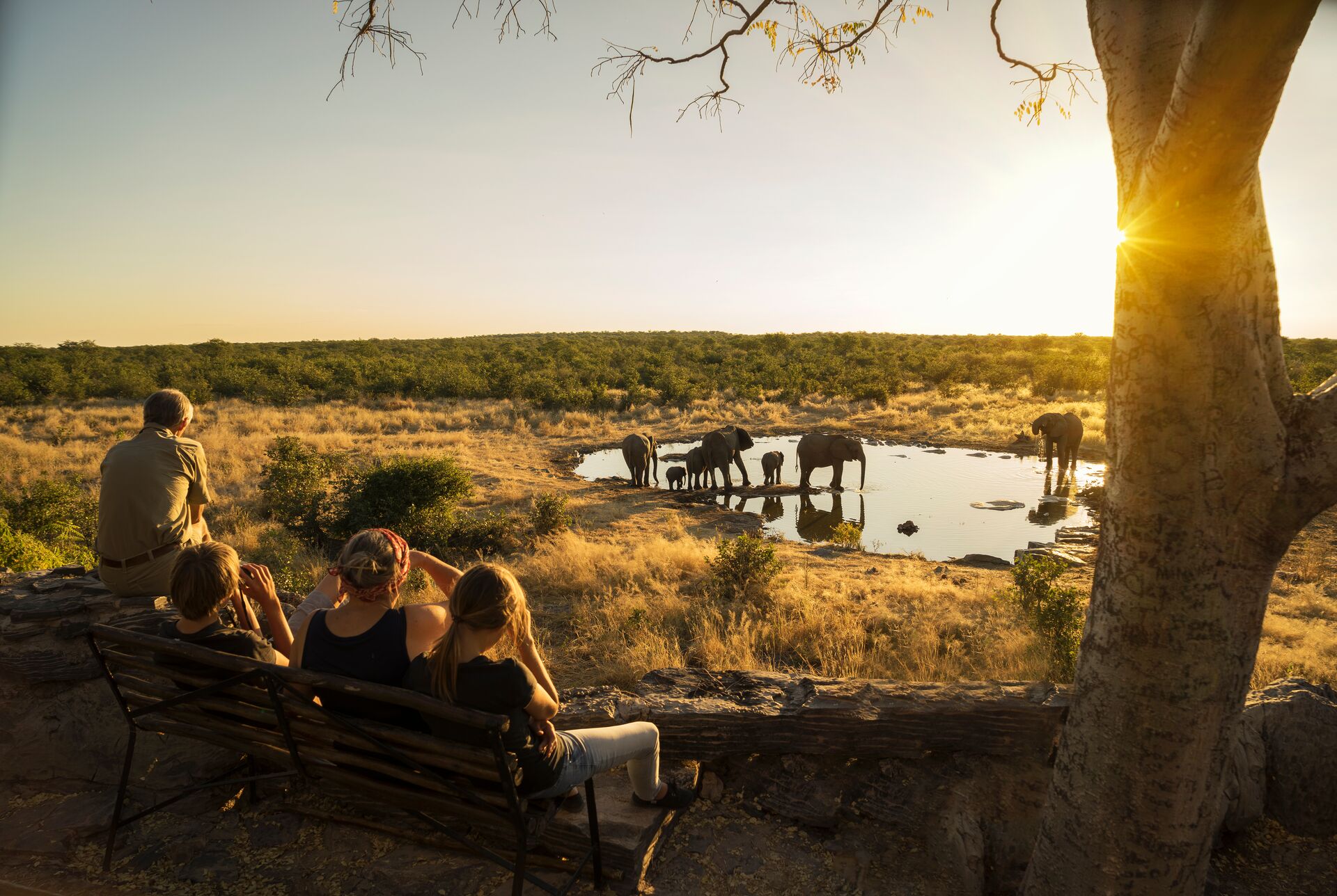 Family Watching Elephants at a waterhole