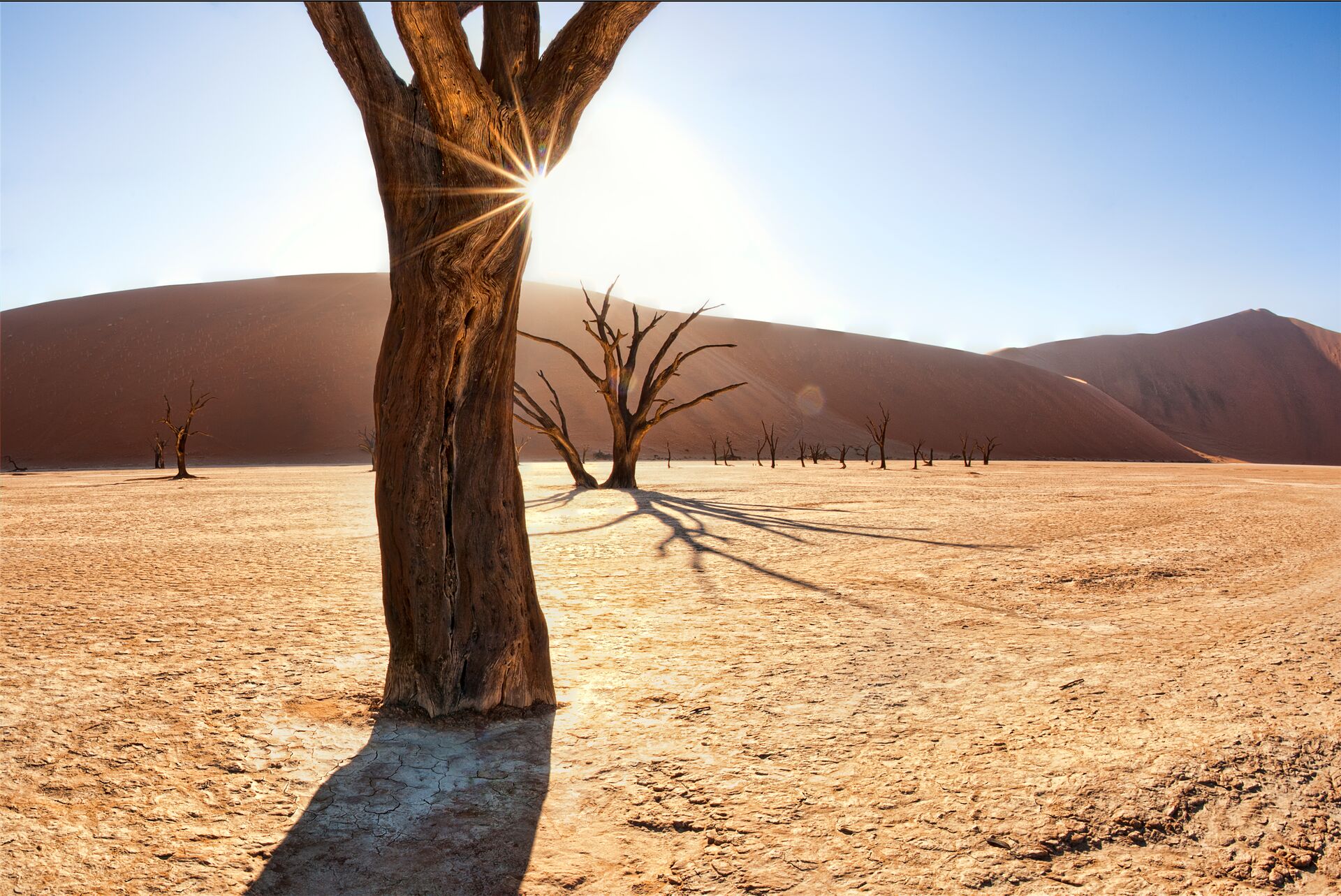 Deadvlei, Namibia at sunrise