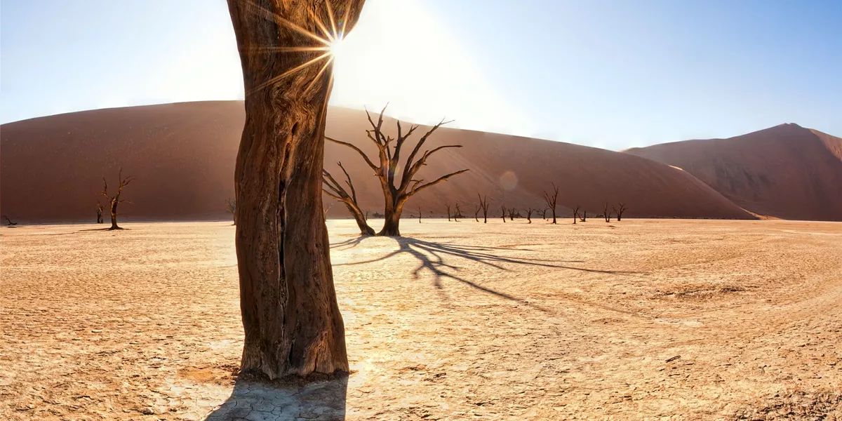 Deadvlei, Namibia at sunrise