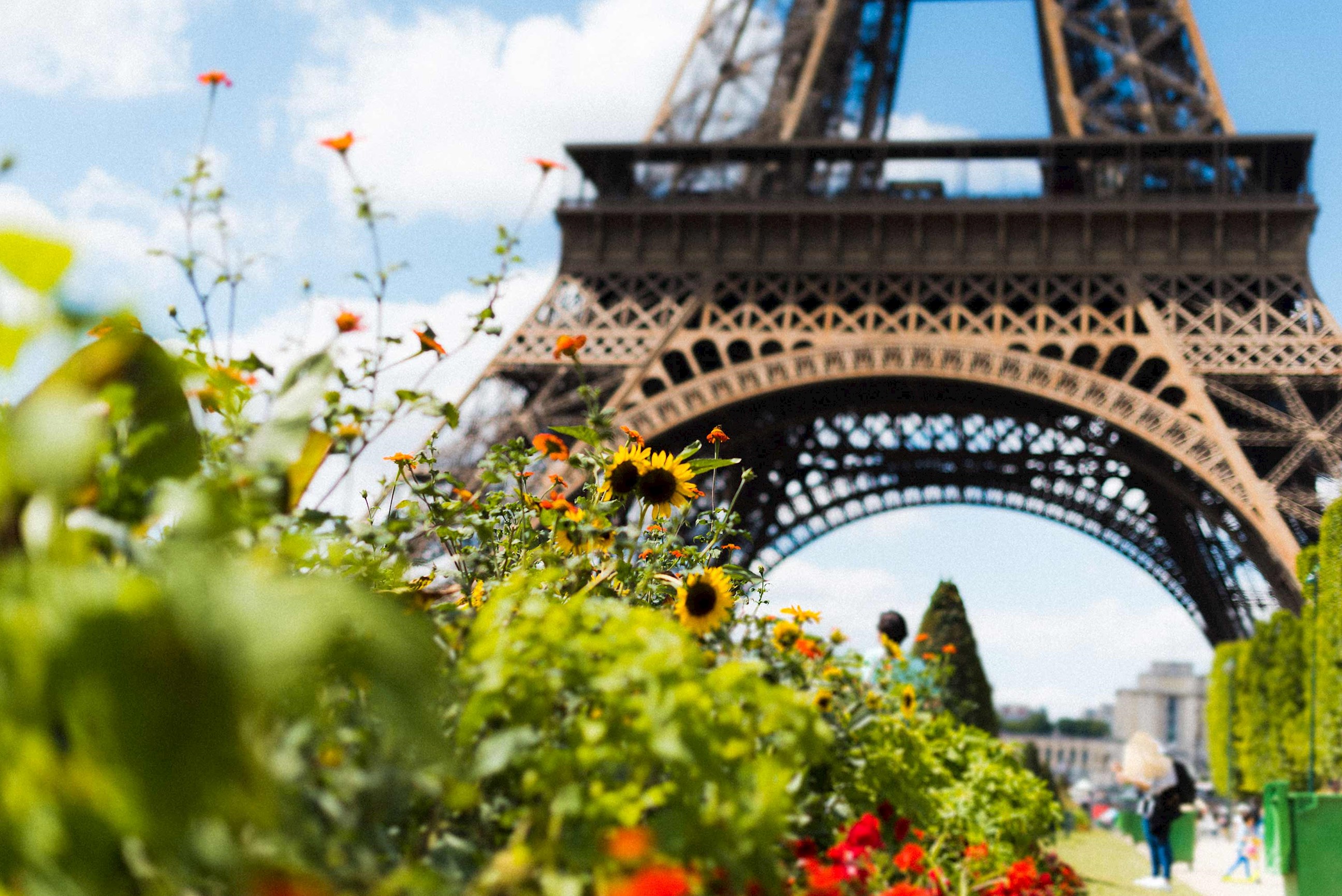 eiffel-tower-paris-france.jpg