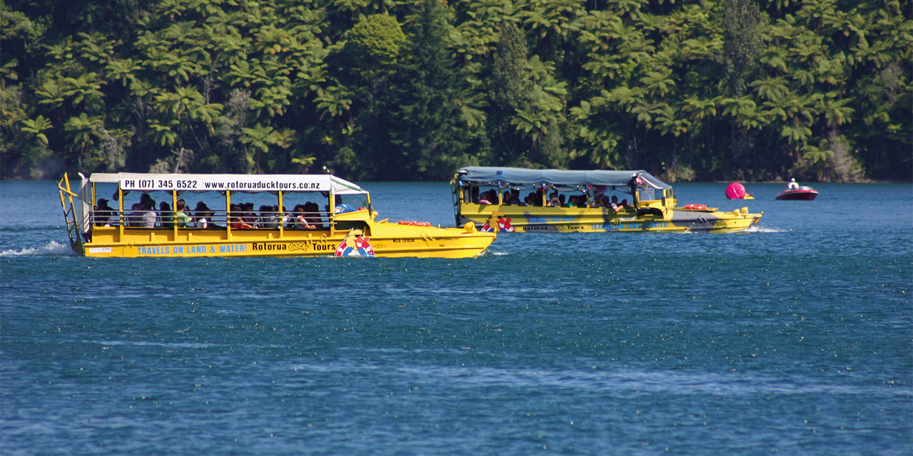 rotorua-duck-labc-day-6.jpg