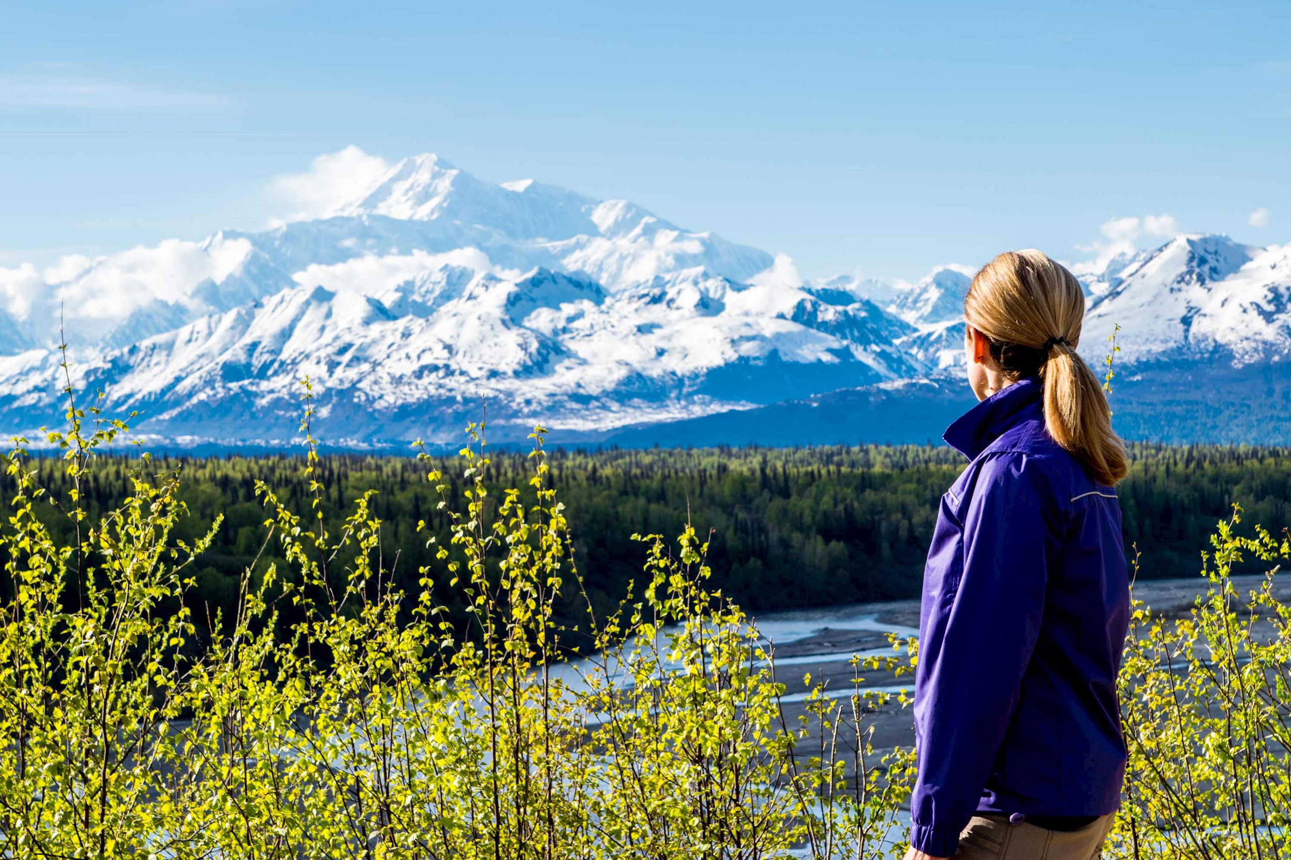 enjoy-a-denali-wilderness-walking-tour-alaska-usa.jpg