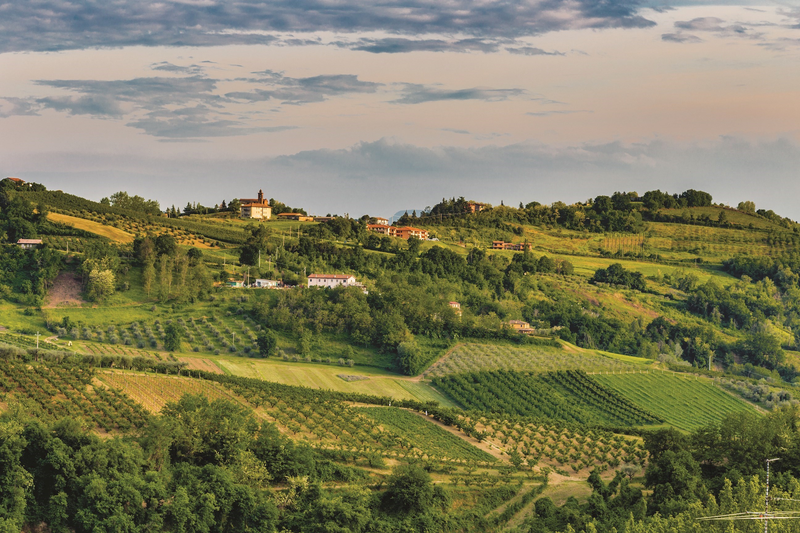 countryside-tuscany-italy.jpg