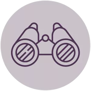 binoculars-icon.webp