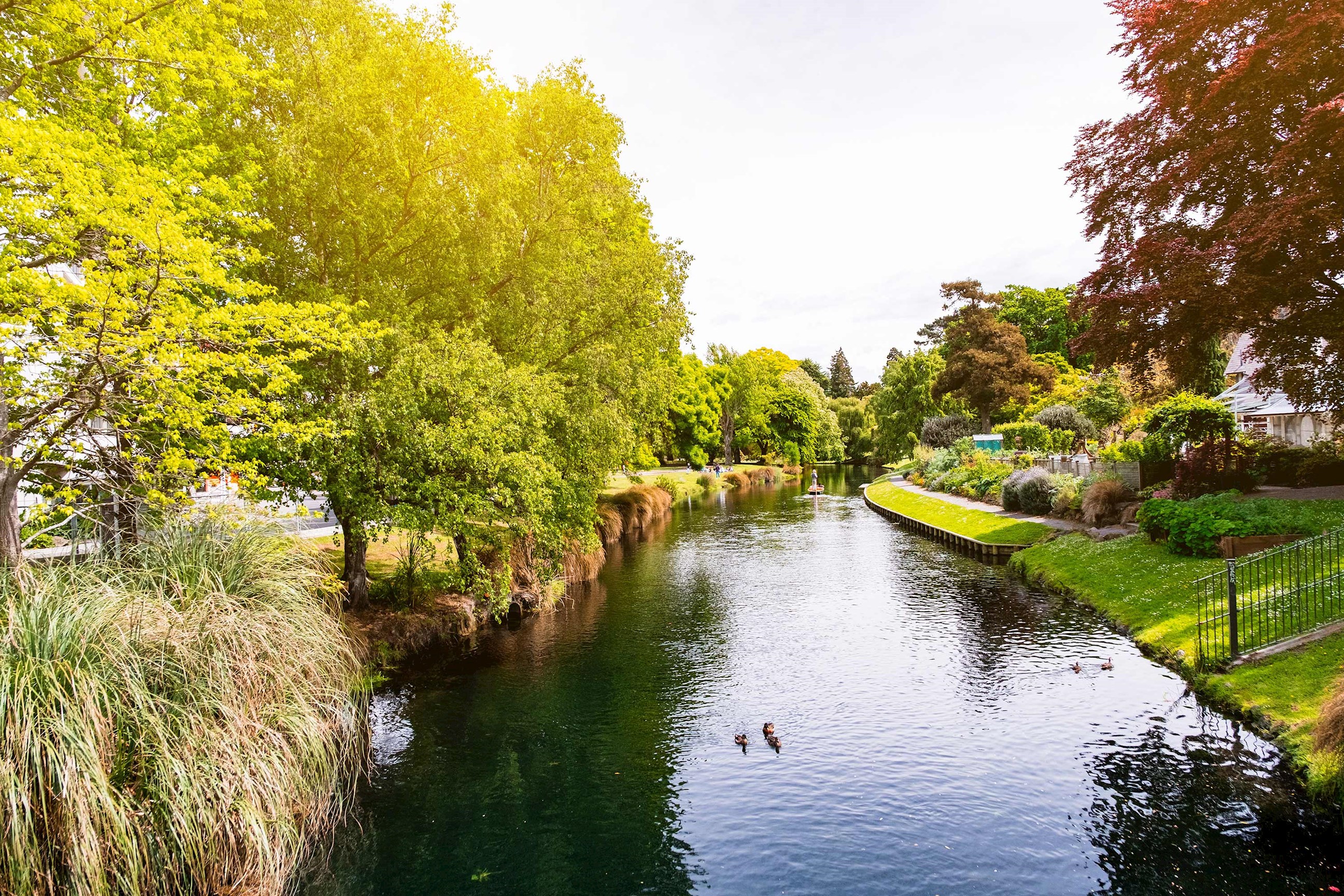 river-avon-christchurch-new-zealand.jpg
