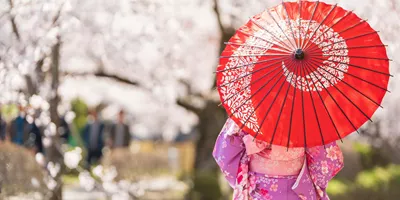 Classic Japan Guided Tour