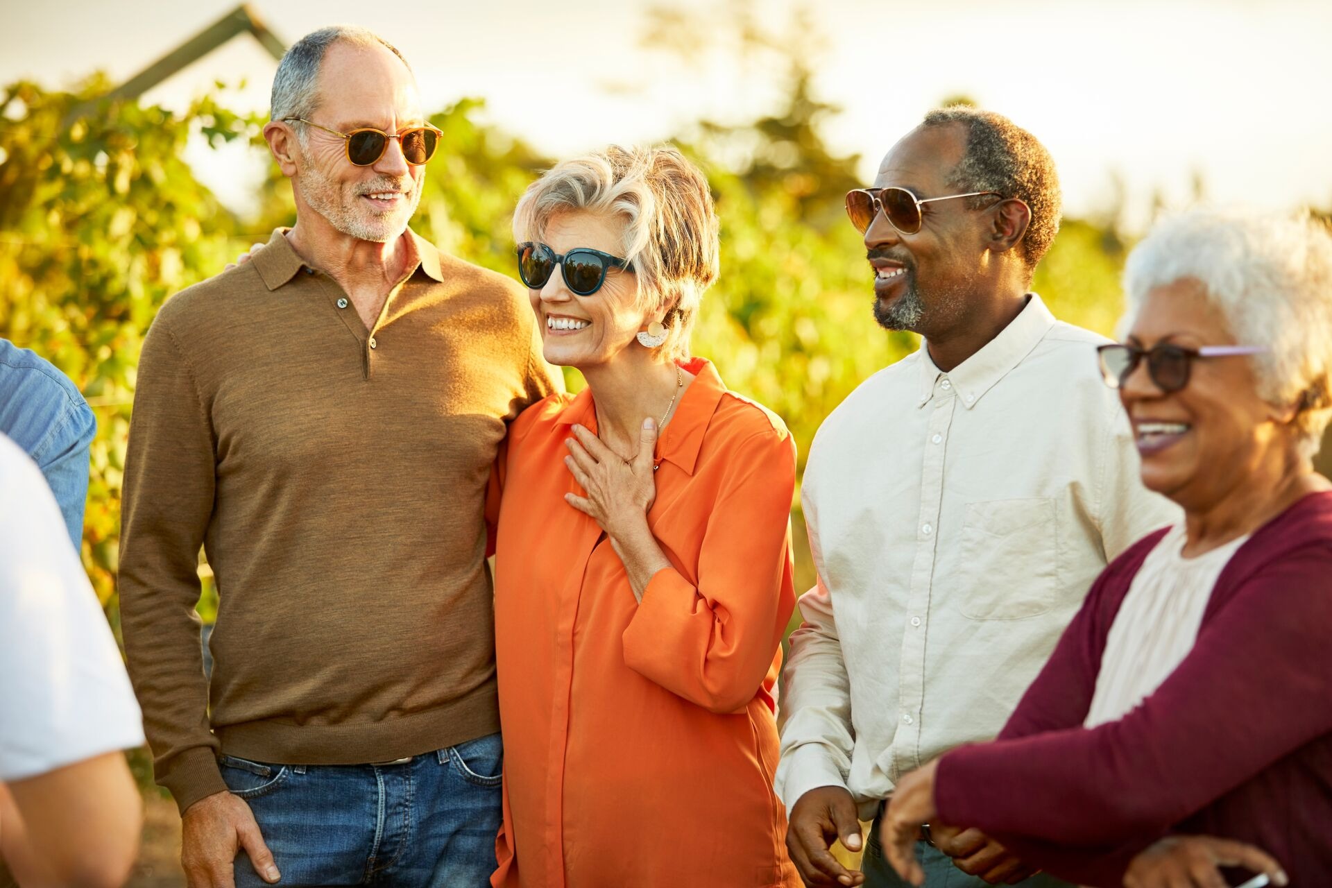 Happy group of tourists in Vineyard at sunset