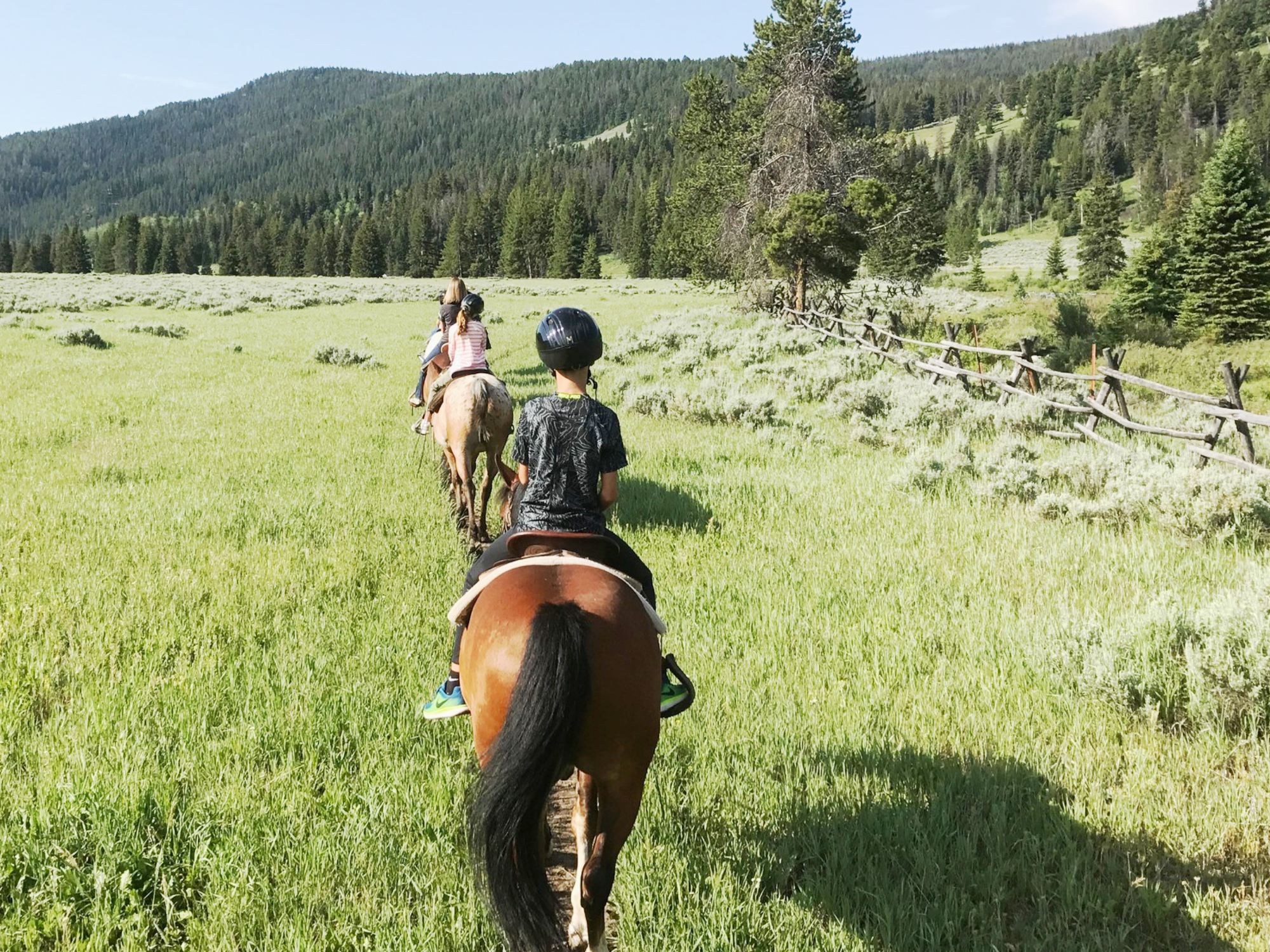 People riding horses on a meadow