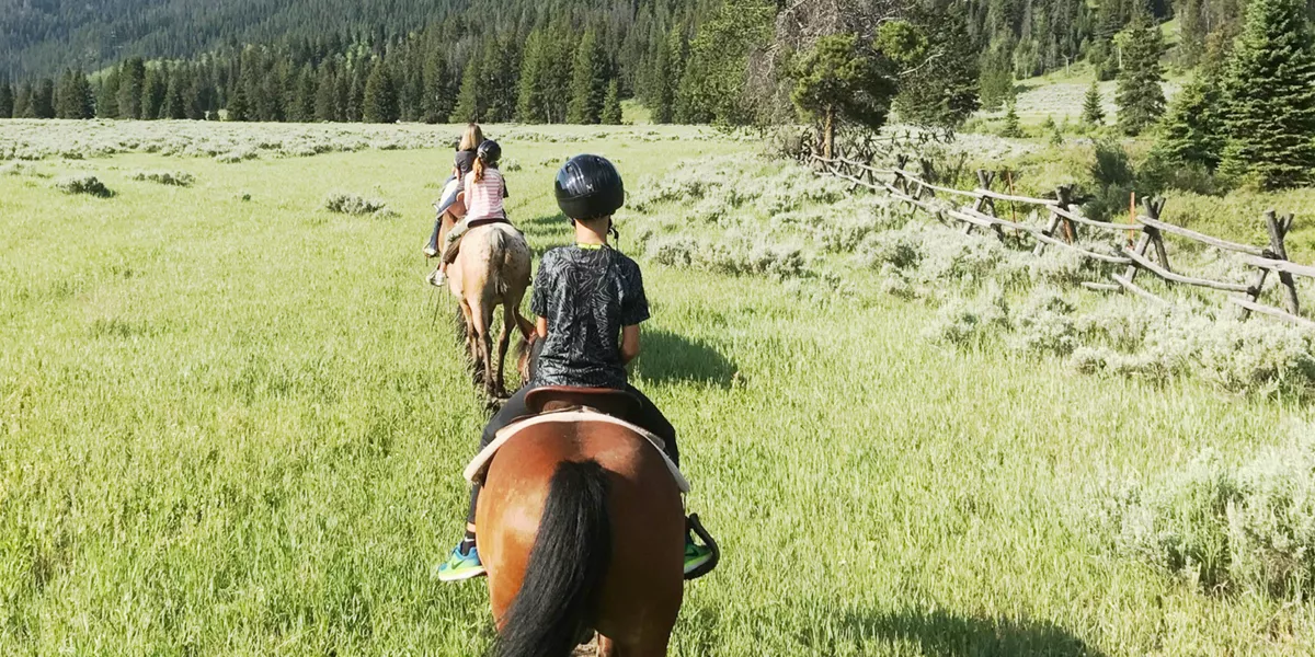 People riding horses on a meadow