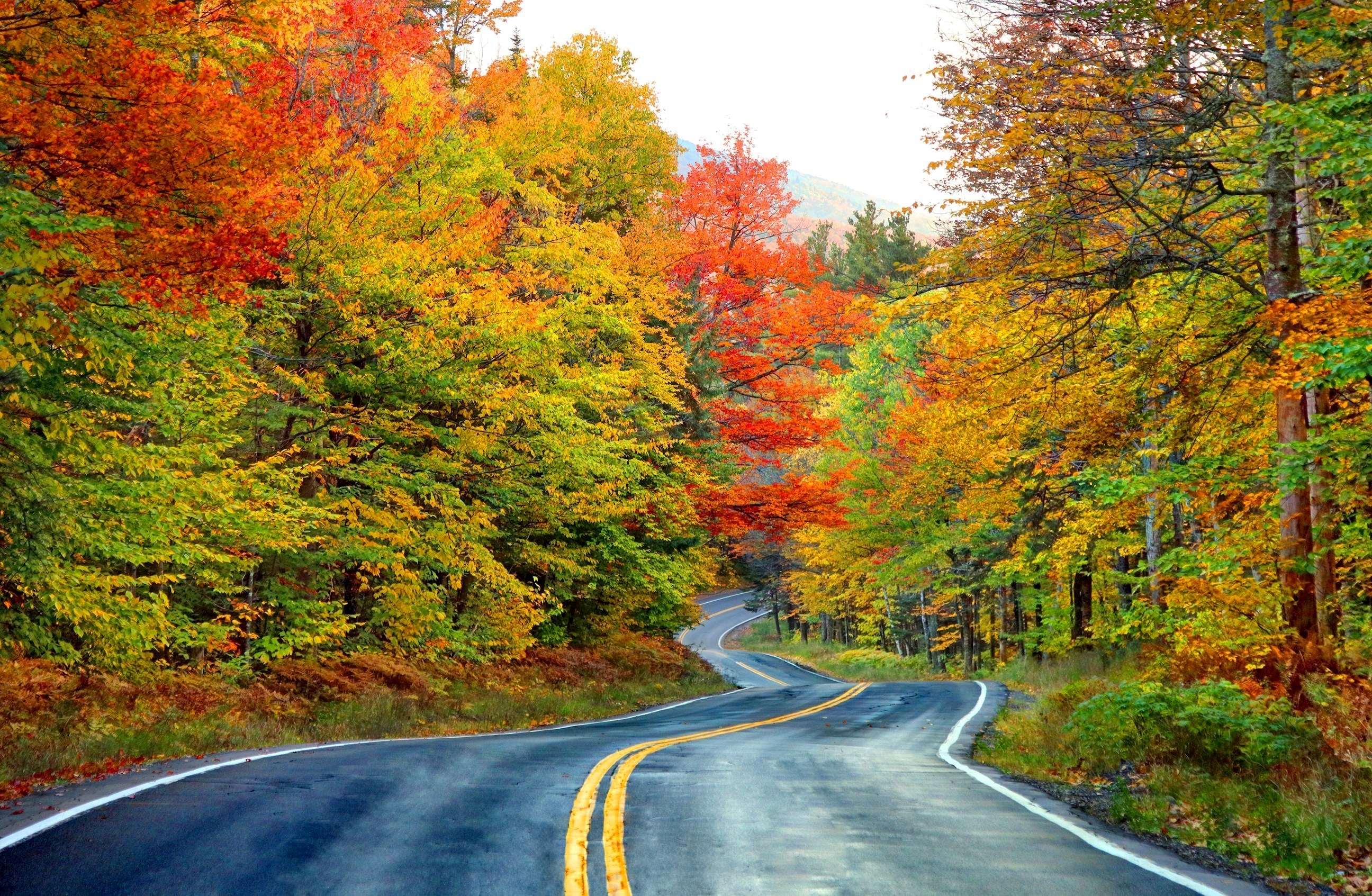 autumn-colours-white-mountain-usa-tt.jpg