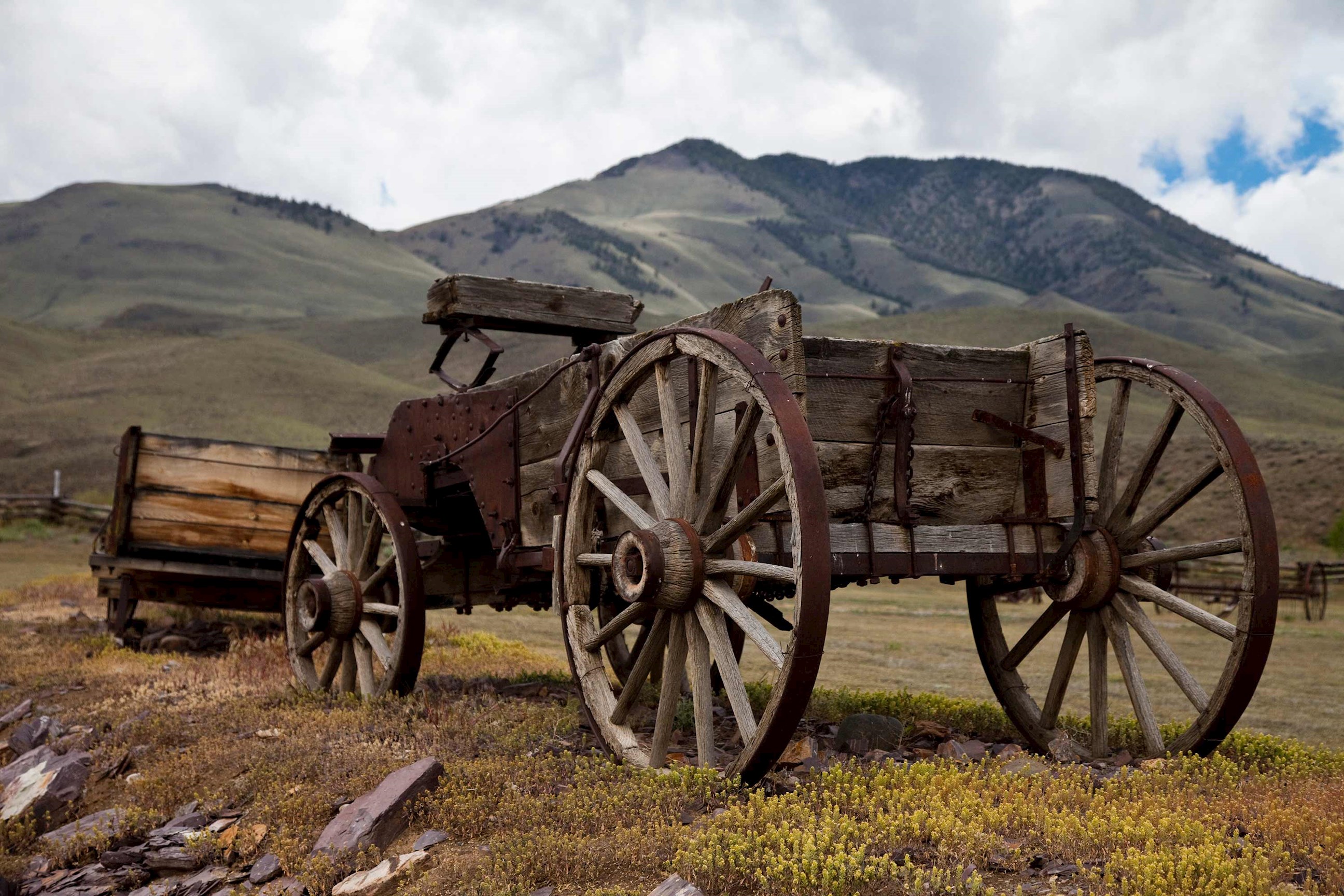 challis-wagon-jackson-usa.jpg