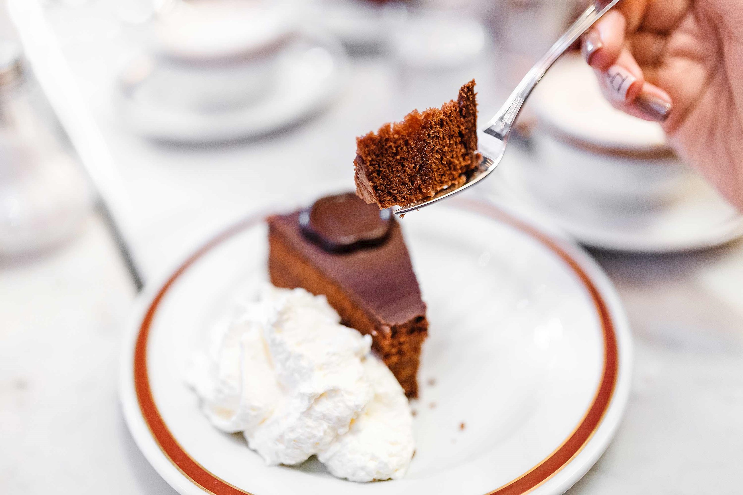 sacher-cake-vienna-austria.jpg
