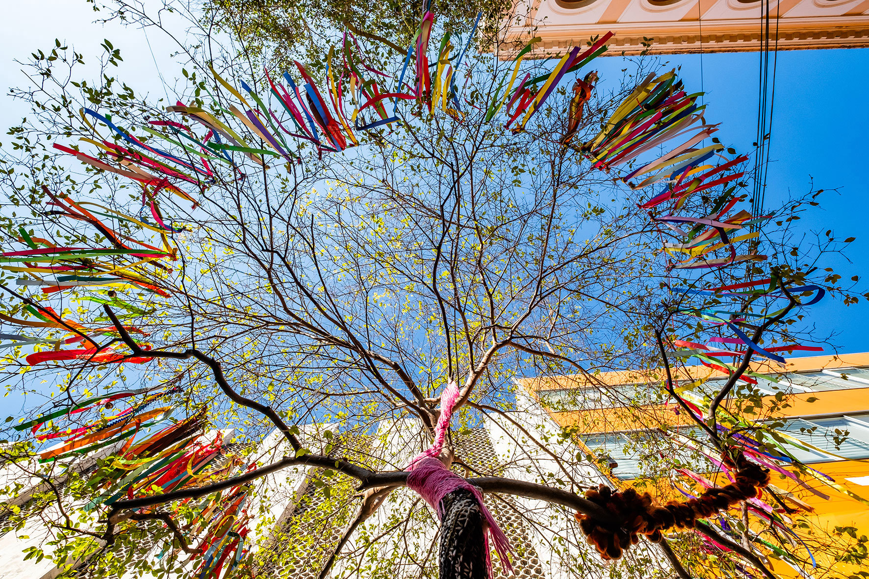 downtown-guadalajara-mexico.jpg