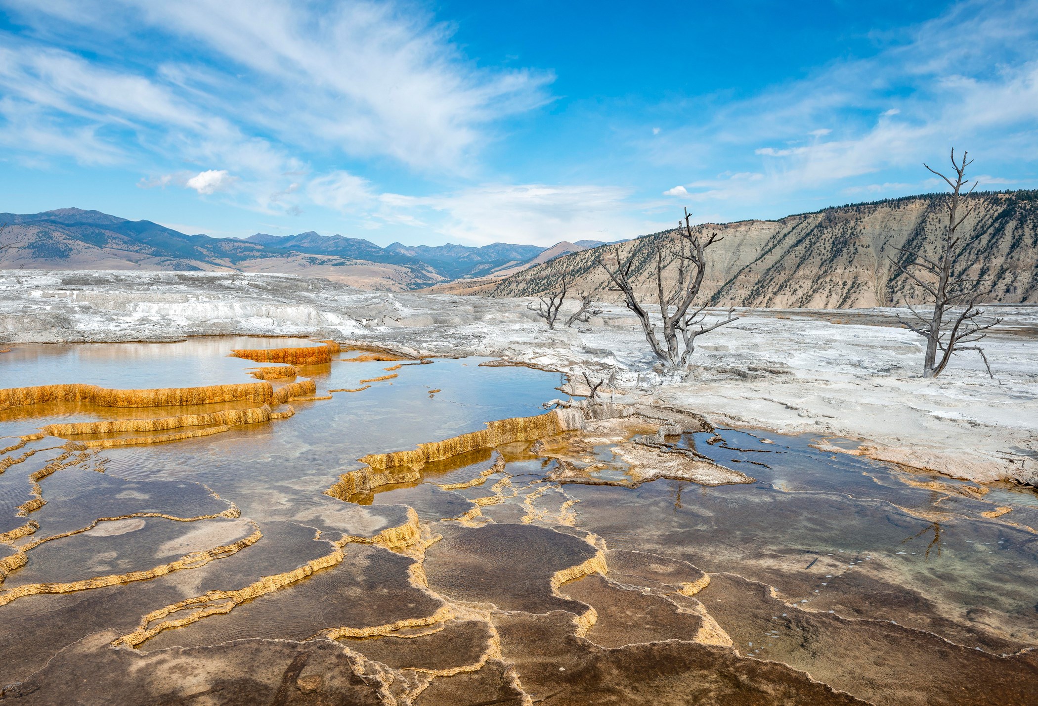 hot-springs-yellowstone-montana-usa.jpg