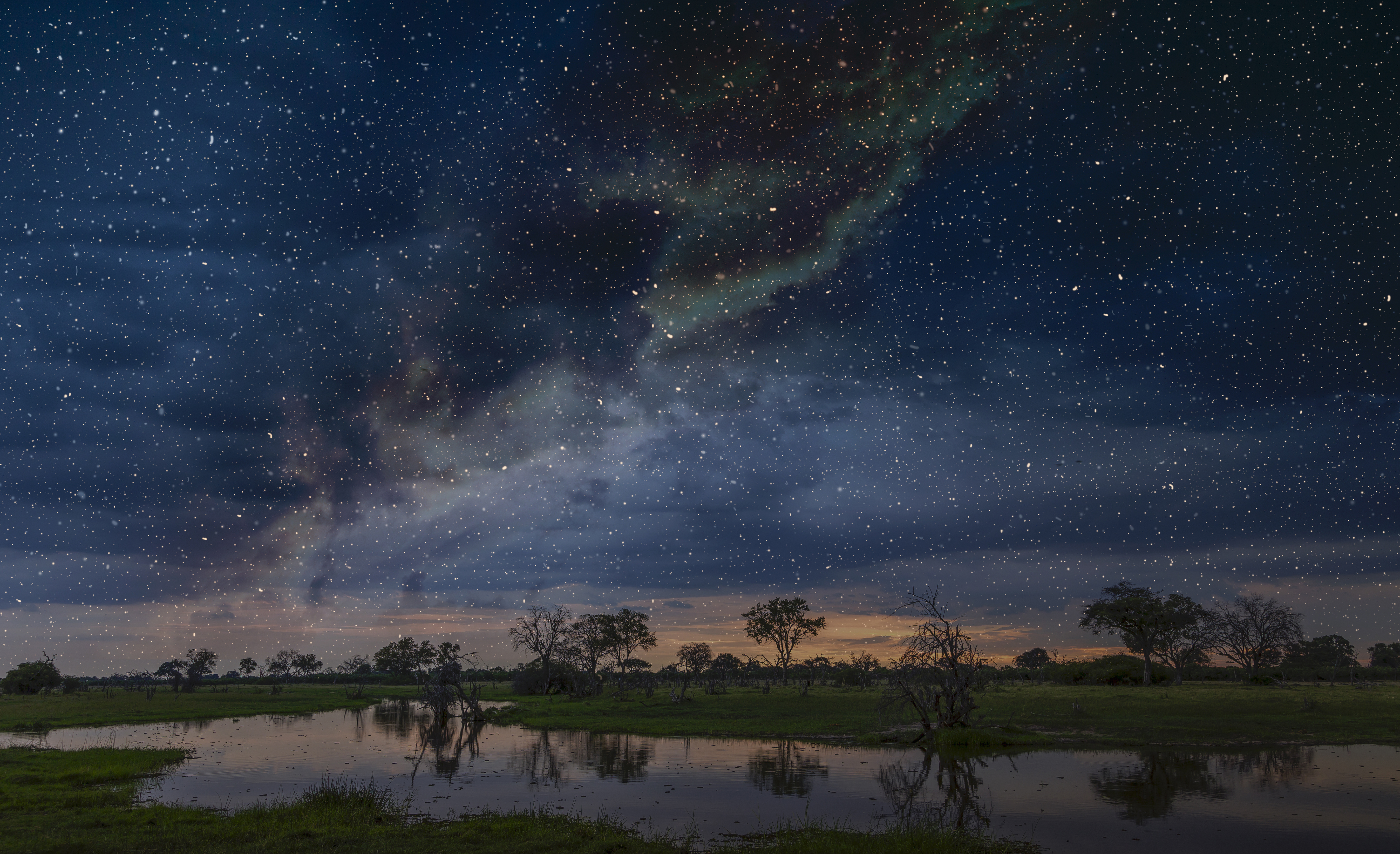 Starry Night Sky Over Swamp, Okavango Delta, Botswana, Limpopo, South Africa