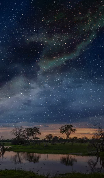Starry Night Sky Over Swamp, Okavango Delta, Botswana, Limpopo, South Africa