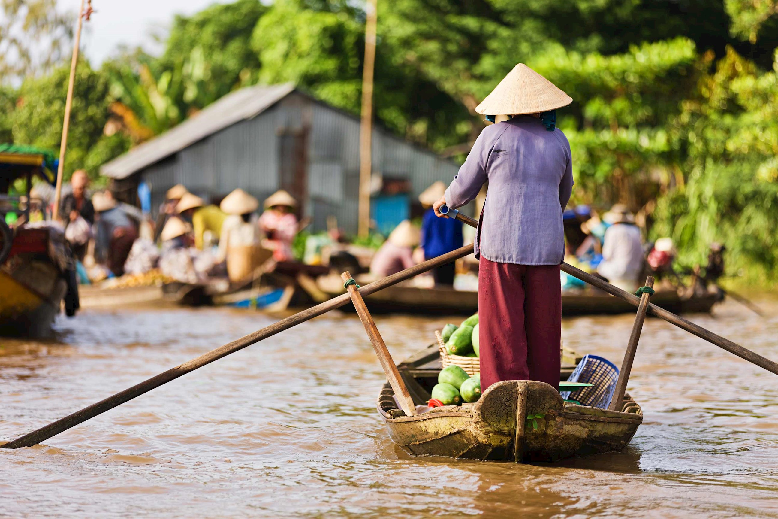 Woman on rowing boat in Mekong Delta, Vietnam